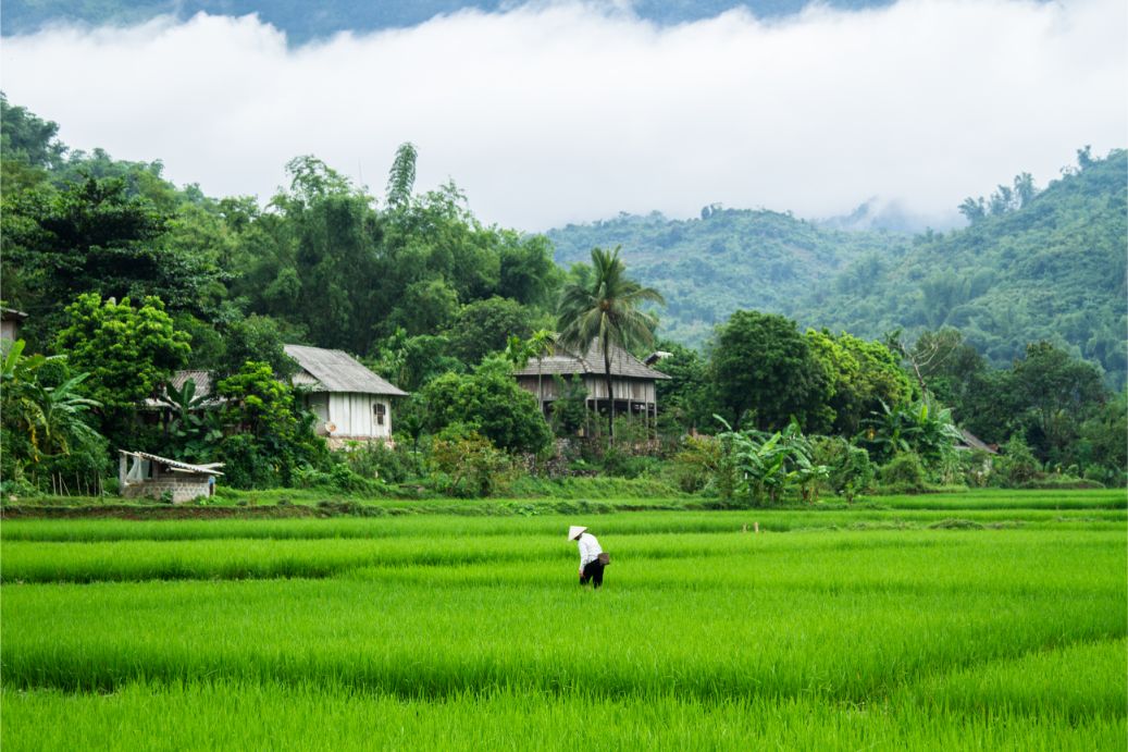 Mai Chau