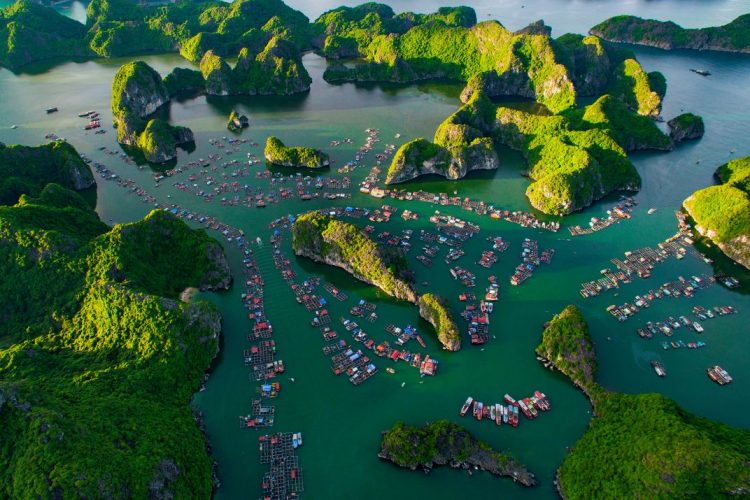 Must-have destination of your Halong Bay Tour
