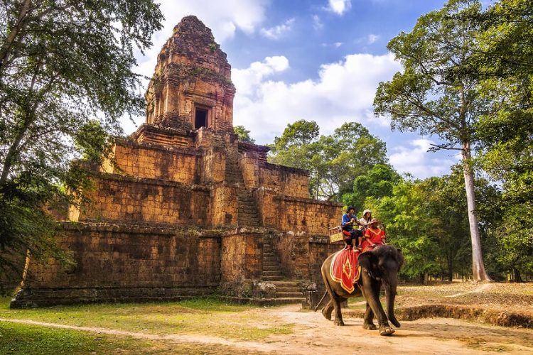 elephant-10+-Awe-Inspiring-Destinations-For-Cambodia-&-Vietnam-Trekking-Tours