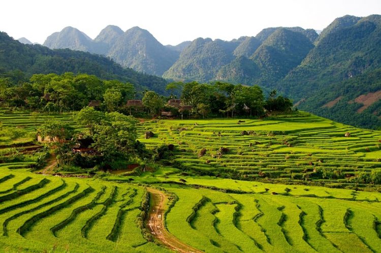 pu-luong-10+-Awe-Inspiring-Destinations-For-Cambodia-&-Vietnam-Trekking-Tours