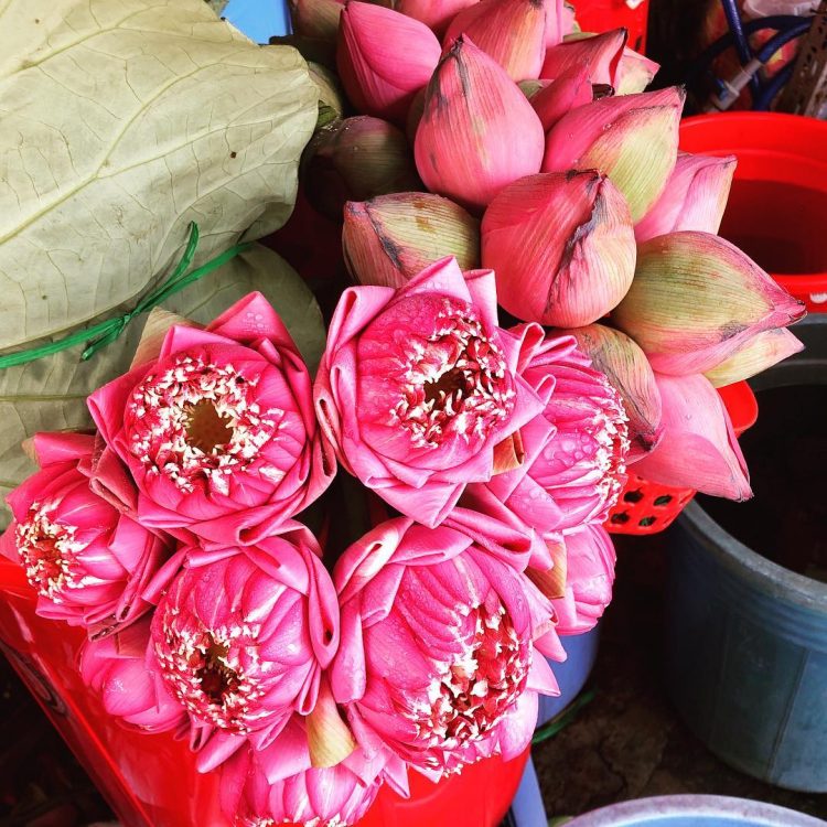 The Complete Guide to Ho Thi Ky Flower Market in Saigon 