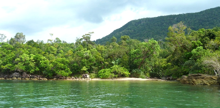 Phu Quoc National Park - The Perfect Place To Get A Flavor Of “Nature”