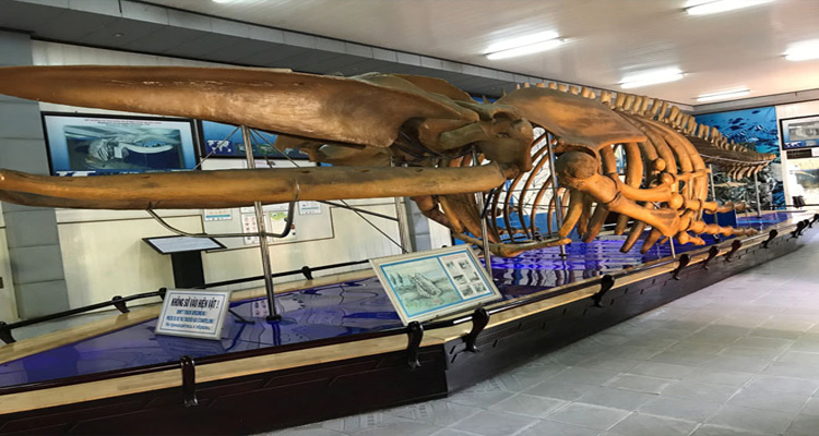 A day in Oceanographic Institute (Nha Trang) 