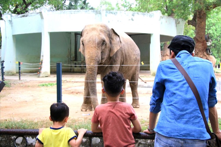 A Comprehensive Guide to Hanoi Zoo