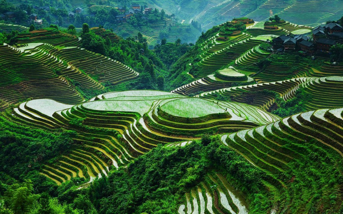 Banaue Rice Terraces, Ifugao, Philippines