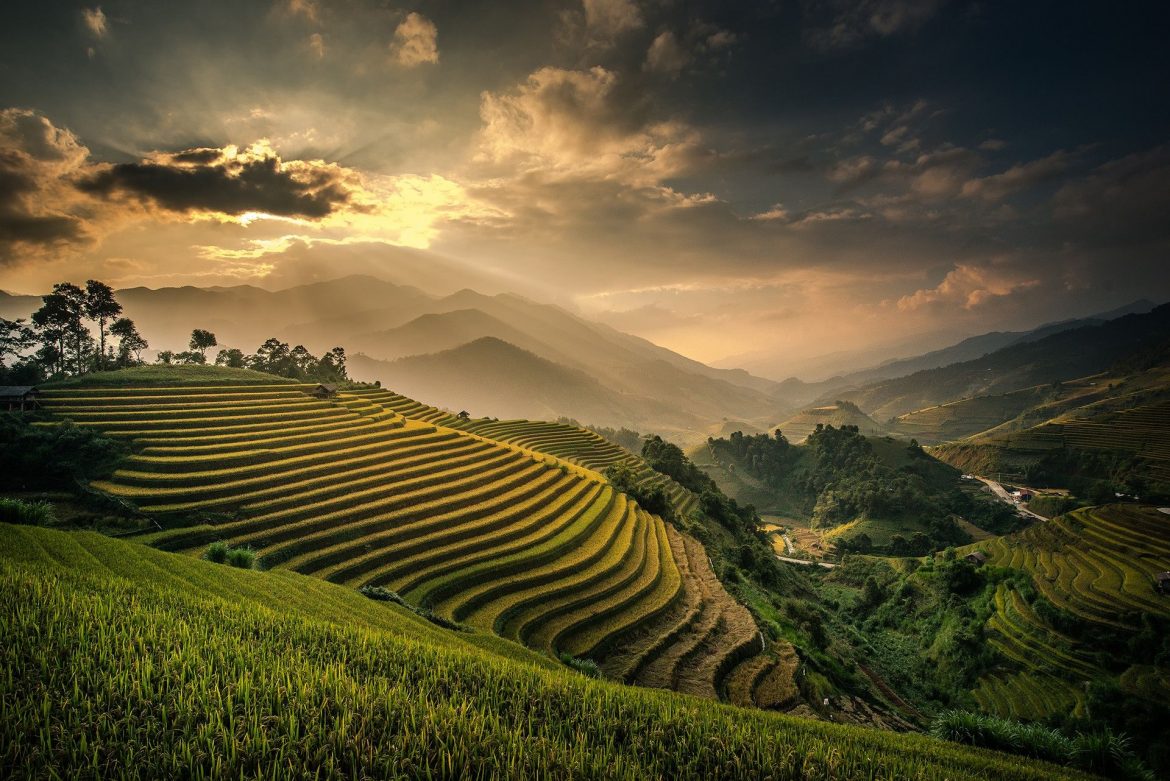 Terraced field in Philippines