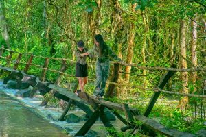 Cat Tien National Park Vietnam