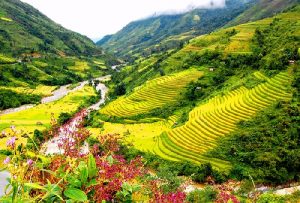 trekking sapa, sapa trekking tour, travel sapa