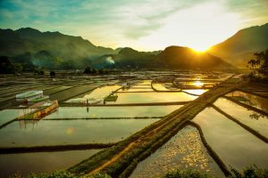 water season in Mai Chau