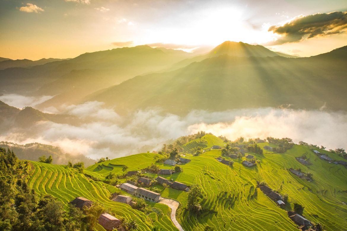 Best Time to see Rice Fields in Vietnam