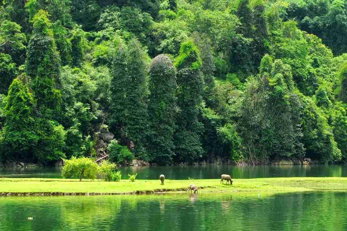 Ba Be National Park, vietnam wildlife