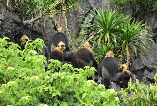 ba be national park
