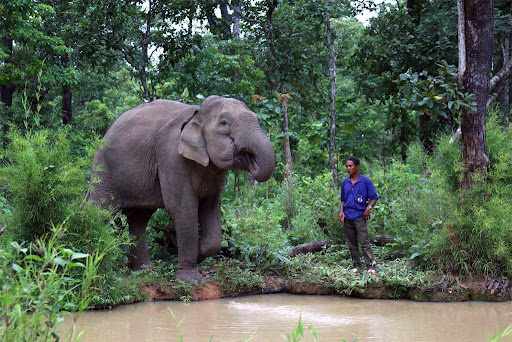 vietnam wildlife