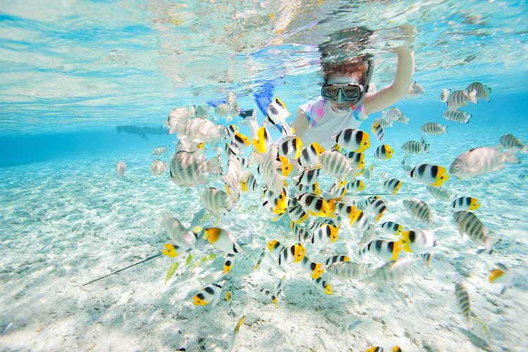 koh kong island cambodia, koh kong island, booking koh kong, koh kong food, koh kong krao island, koh kong tourist attractions