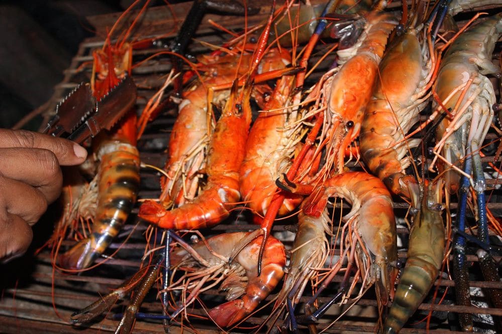 koh kong island cambodia, koh kong island, booking koh kong, koh kong food, koh kong krao island, koh kong tourist attractions