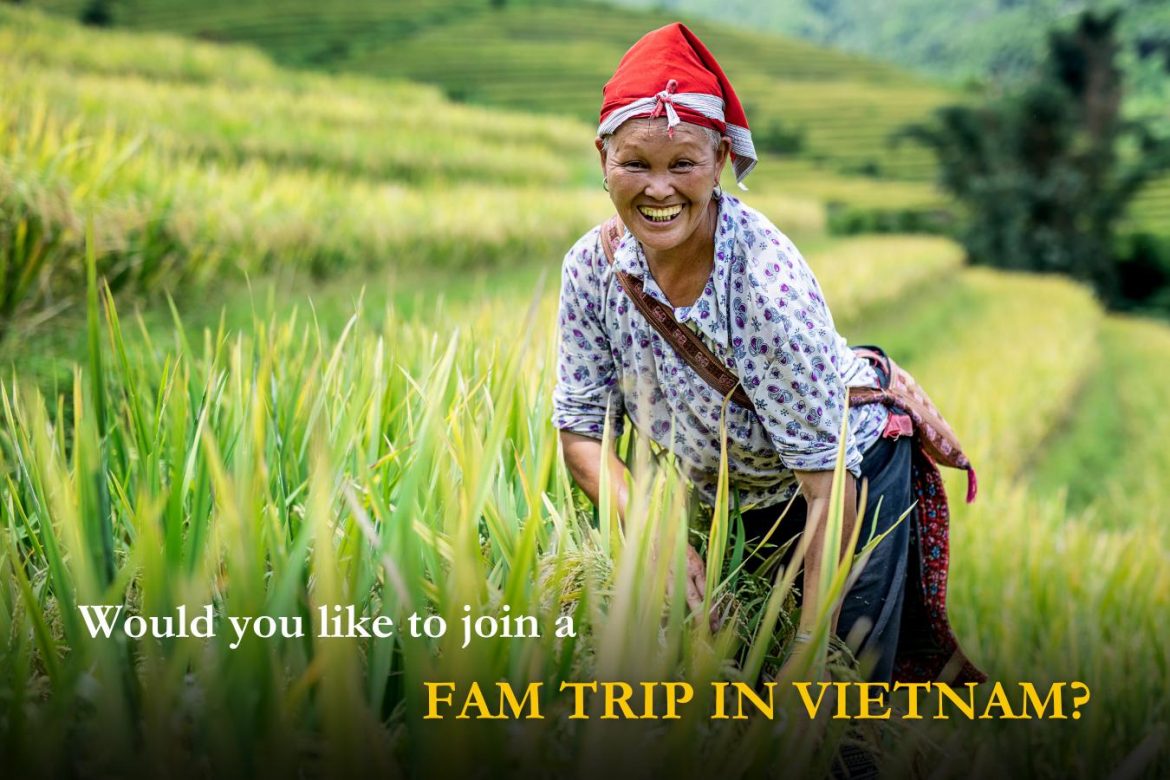 vietnam fam trip