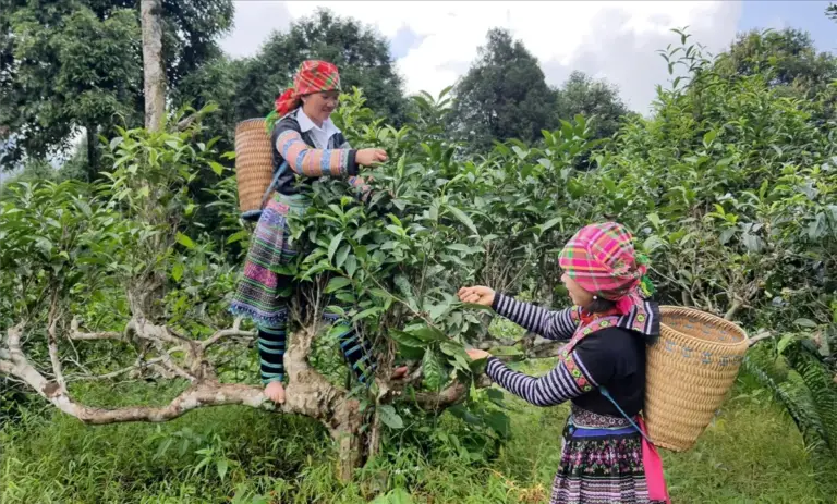 laos vietnam cambodia itinerary 5 (1)