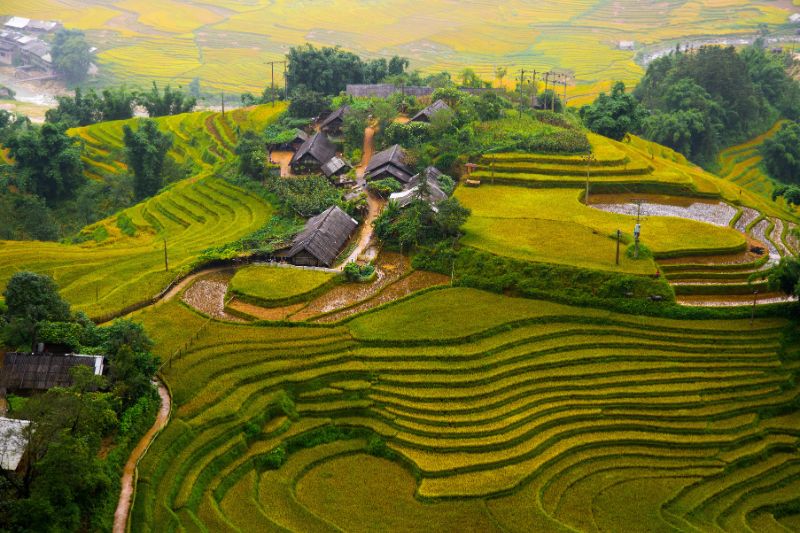 Lao Cai – Sapa (G/B/L/D)  
