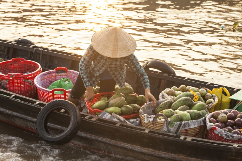 MEKONG DELTA EXCURSION (Guide/B/L)