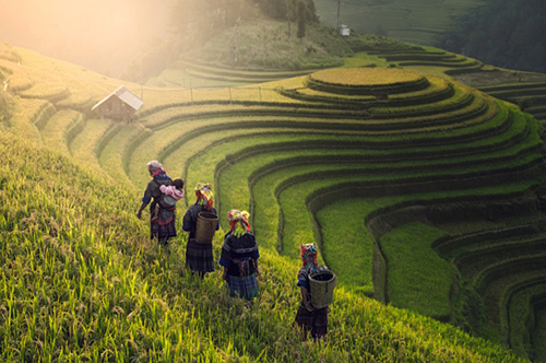Vietnam