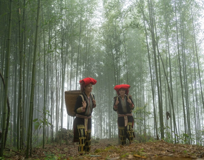 Discover the raw charm of Ha Giang through guided treks to Red Dao villages.