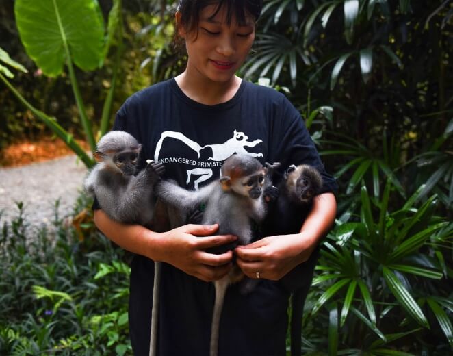 Discover Cuc Phuong National Park with ancient caves and a primate rescue center. 