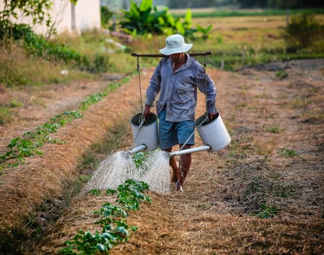 From garden to table—experience rural Hoi An through farming, cooking, and cycling.