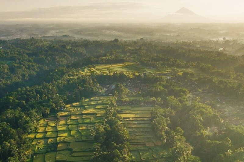 ARRIVAL - BALI - UBUD 