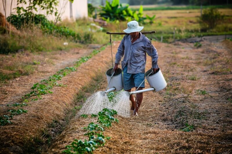 HOI AN - LOCAL FAMER’S LIFE Guide/B/L]