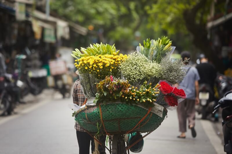 Arrive Hanoi (D)