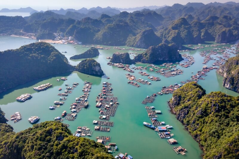 Hanoi - Halong Bay - Overnight on Cruise (B/L/D)