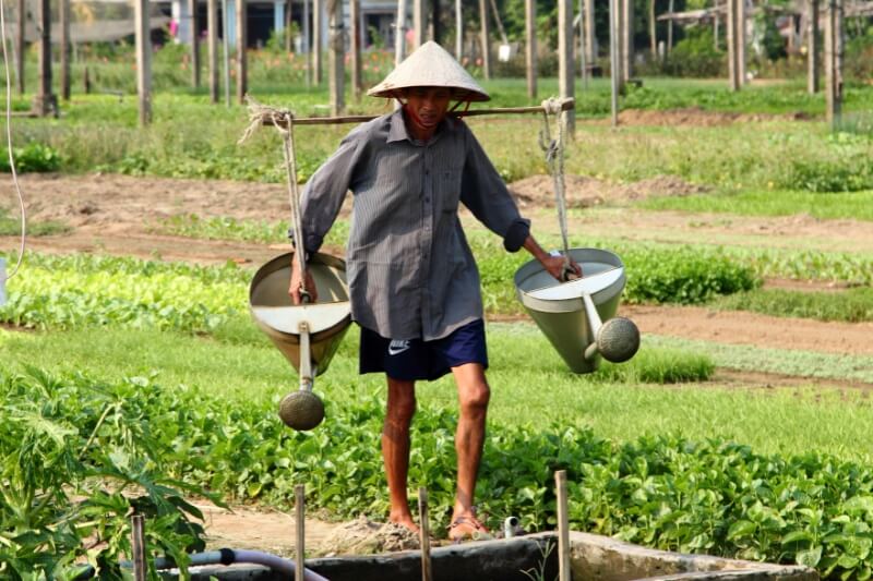 HOI AN - TRA QUE VILLAGE [Guide/B/L]