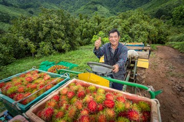 North East Frontier Tour 5 days