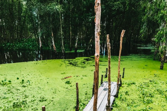 Mysteries of Mekong Waterways 5 days