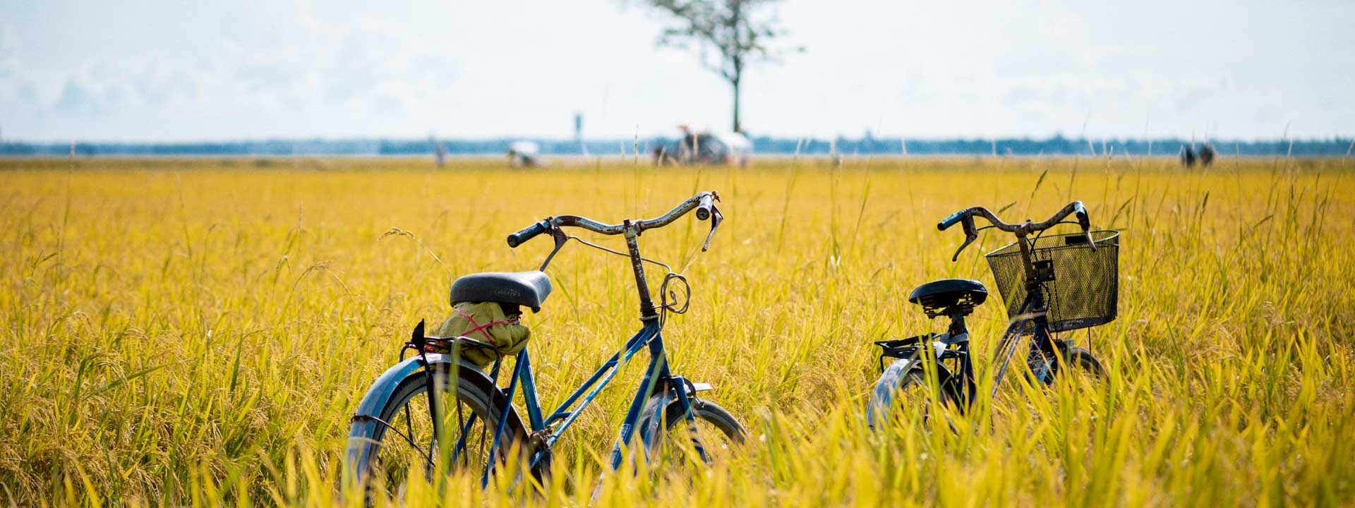 Luxe adventure Tour by Bike in Ninh Binh 3 days